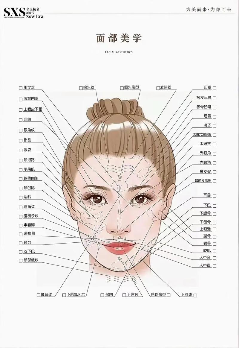面部各部位的名称图解_面部轮廓形成与肌肉穴位分布解析 面部各部位的名称图解_面部轮廓形成与肌肉穴位分布解析