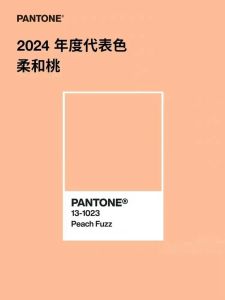 【时尚解读】蜜桃色究竟是欧洲码还是亚洲码？探索不同地区对这款甜美色彩的独特定义